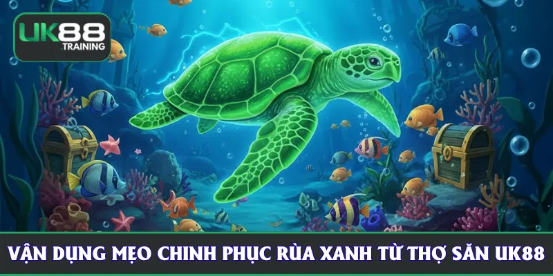 Vận dụng mẹo chinh phục Rùa Xanh từ thợ săn UK88